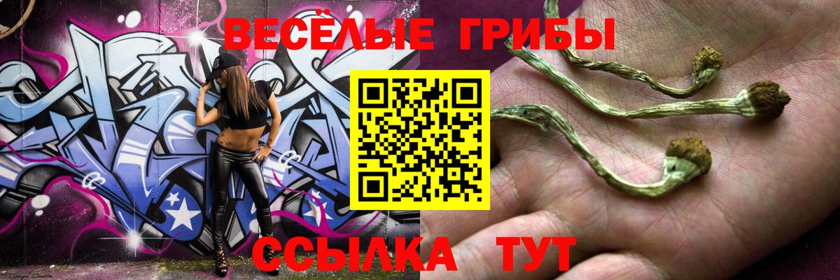Славянск-на-Кубани  Галлюциногенные грибы прущие грибы  Вход с VPN 