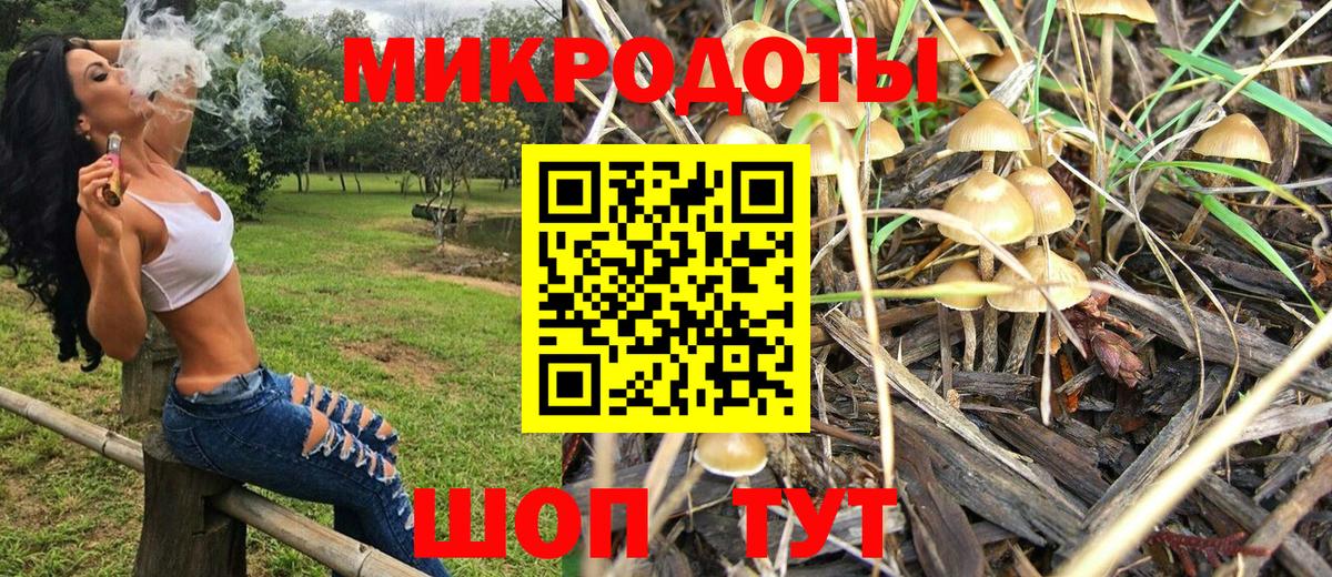 Галлюциногенные грибы Psilocybine cubensis Славянск-на-Кубани